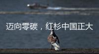 迈向零碳，红杉中国正大举加速碳中和布局！